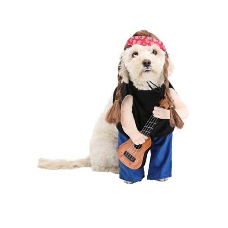 Willie Nelson Pet Dog Costume S