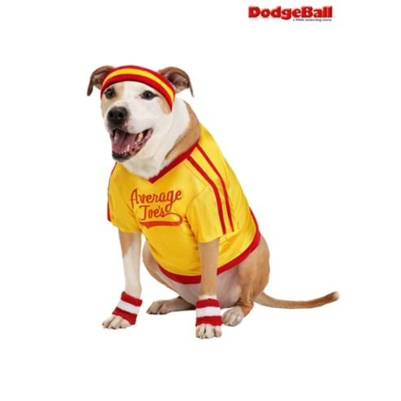 Dodgeball Average Joe's Pet Costume