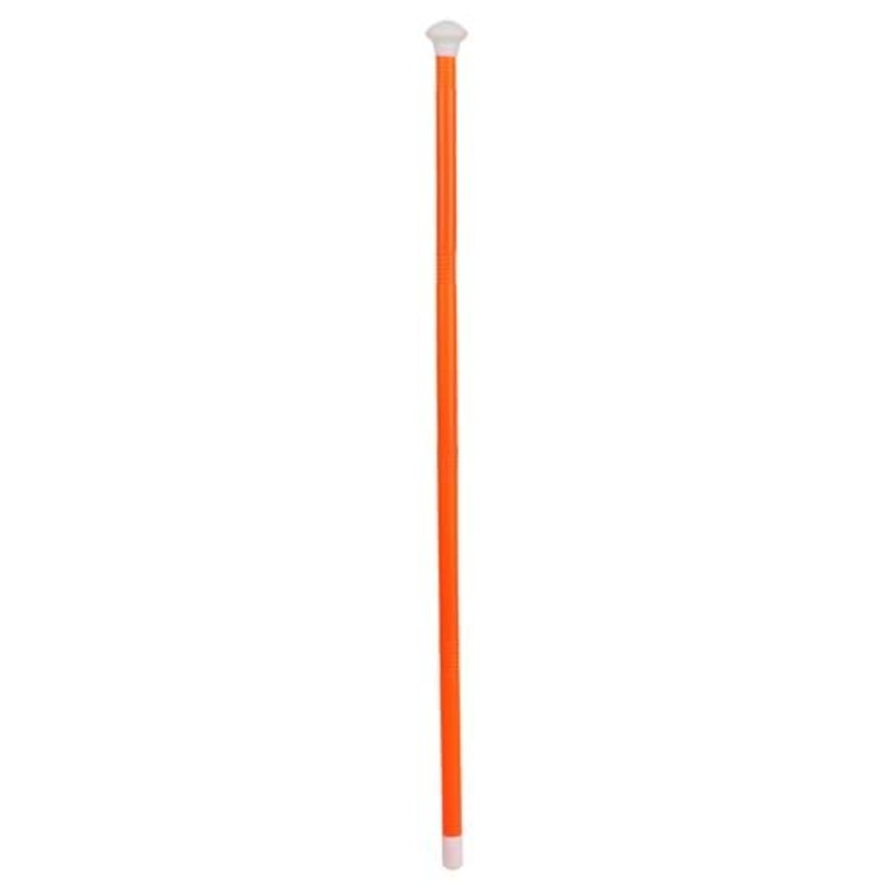 Orange Cane Costume Accessory