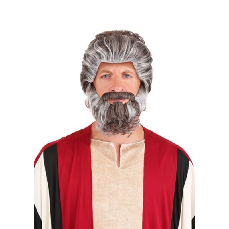 Biblical Moses Adult Costume Wig and Beard Standard