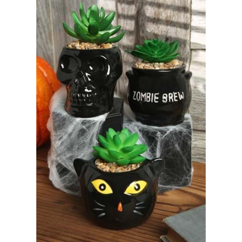 Cauldron, Cat, & Skeleton Decorative Halloween Succulent Planter Set Standard