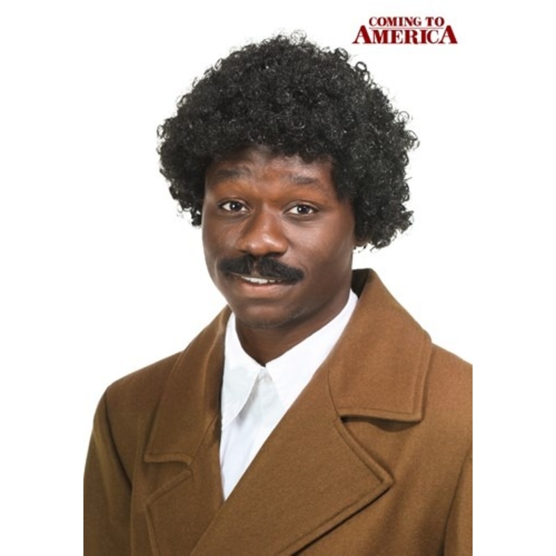 Coming to America Adult Soul Glo Wig Standard