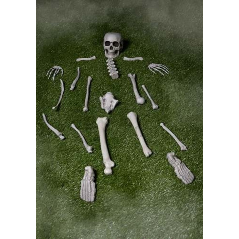 Bag of Skeleton Bones Halloween Decoration Standard