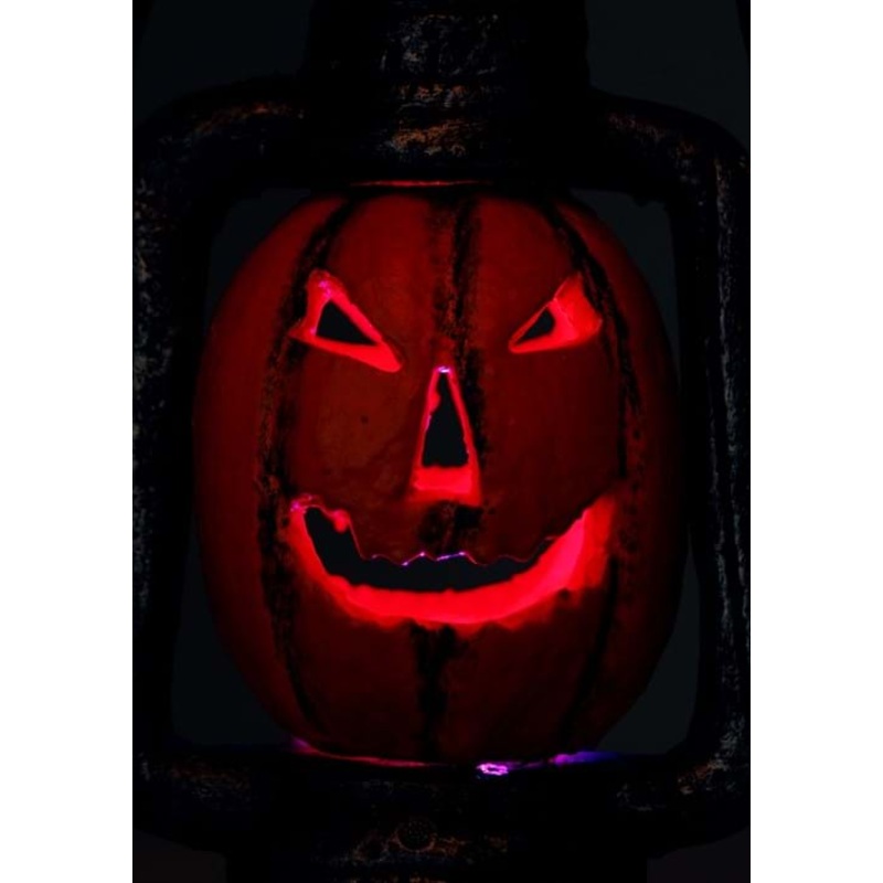 Light Up LED Pumpkin Lantern Halloween Decoration Standard