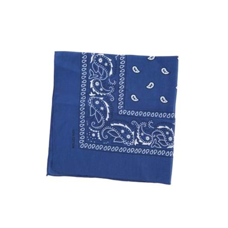 Patterned Blue Bandana Standard