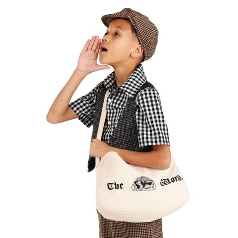 Striking Paperboy Bag Costume Accessory Standard