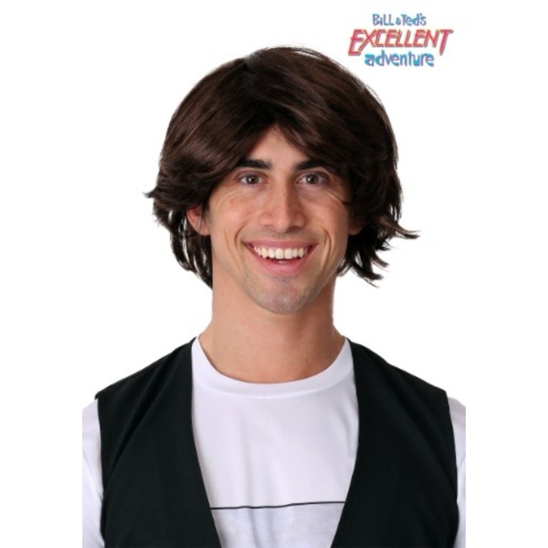 Bill & Ted's Excellent Adventure Adult Ted Wig Standard