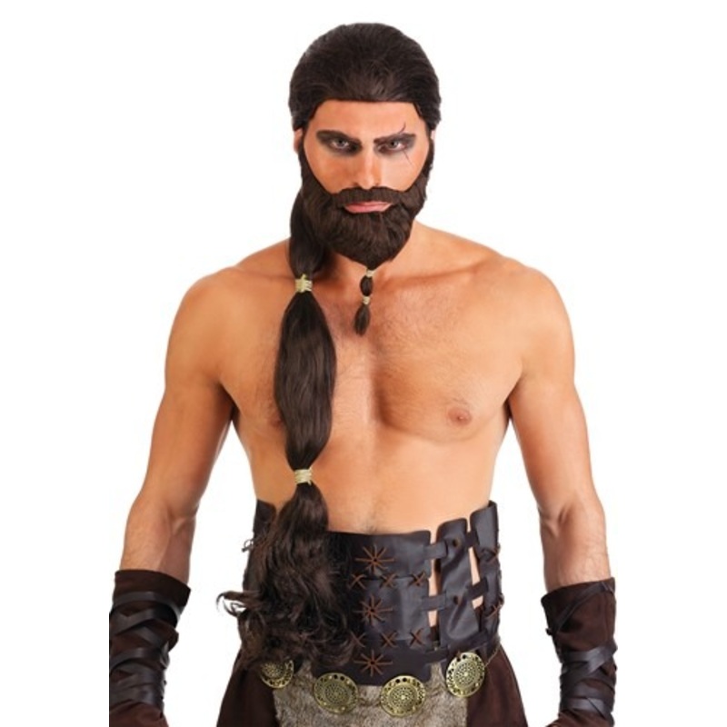 Warrior King Men's Wig and Beard Standard