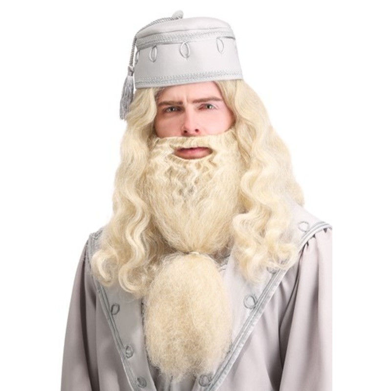 Adult Headmaster Wizard Costume Wig and Beard Standard