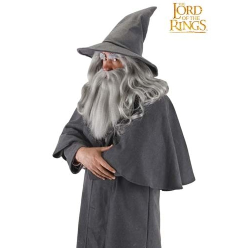 Gandalf the Gray Costume Hat Standard