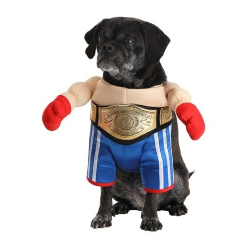 Boxer Pet Costume for Dogs XS