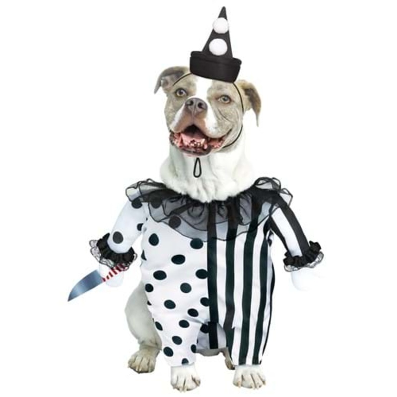 Evil Clown Pet Dog Costume Small