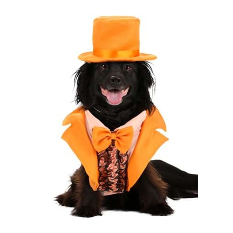 Iconic Orange Tuxedo Costume for Pets XS