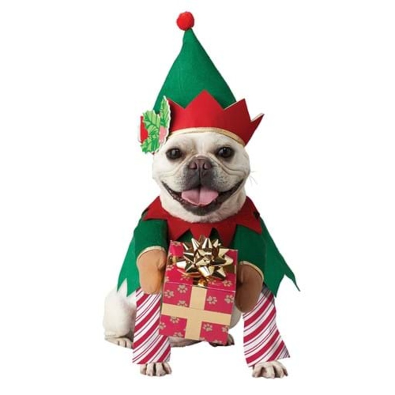 Pet Elf Costume for Dogs Large