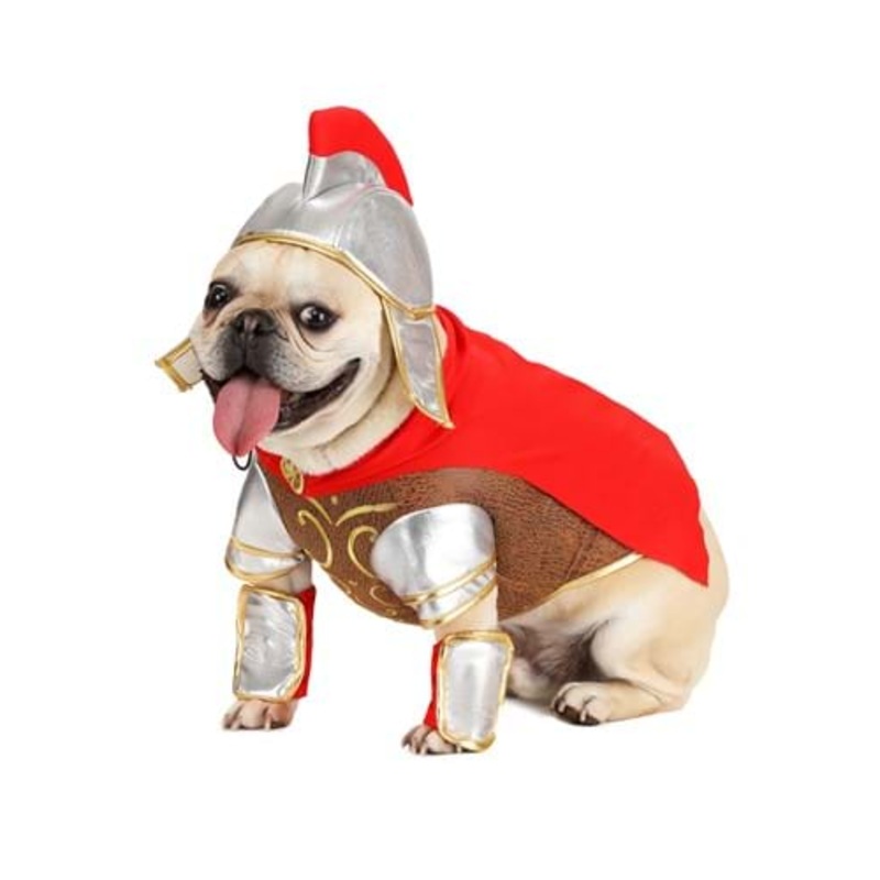 Pet Gladiator Costume XS