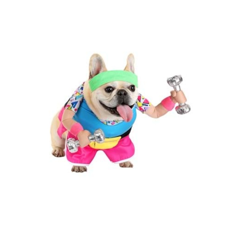 Work Out 1980s Costume for Pets XS