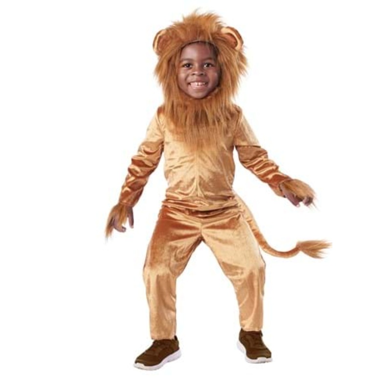 Toddler Lion