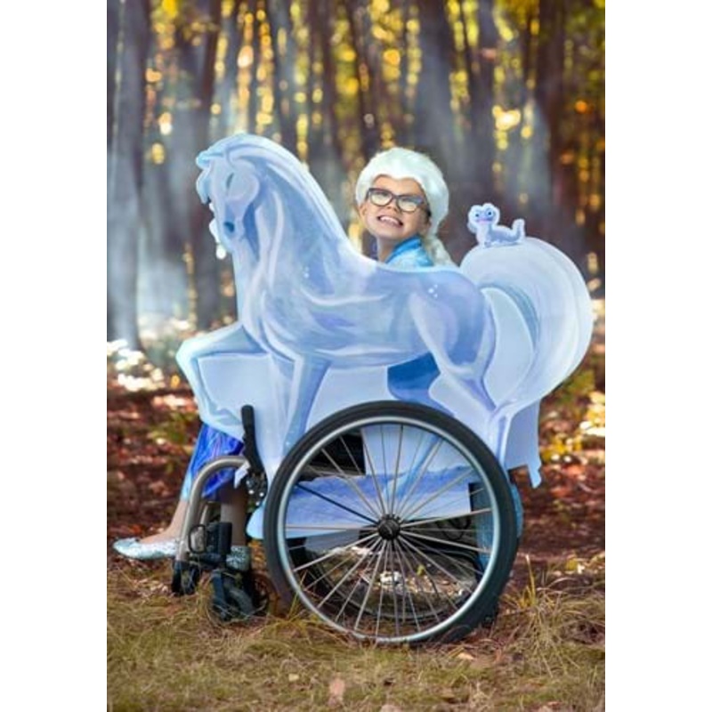 Frozen Ice Nokk Wheelchair Cover Adaptive Costume Standard