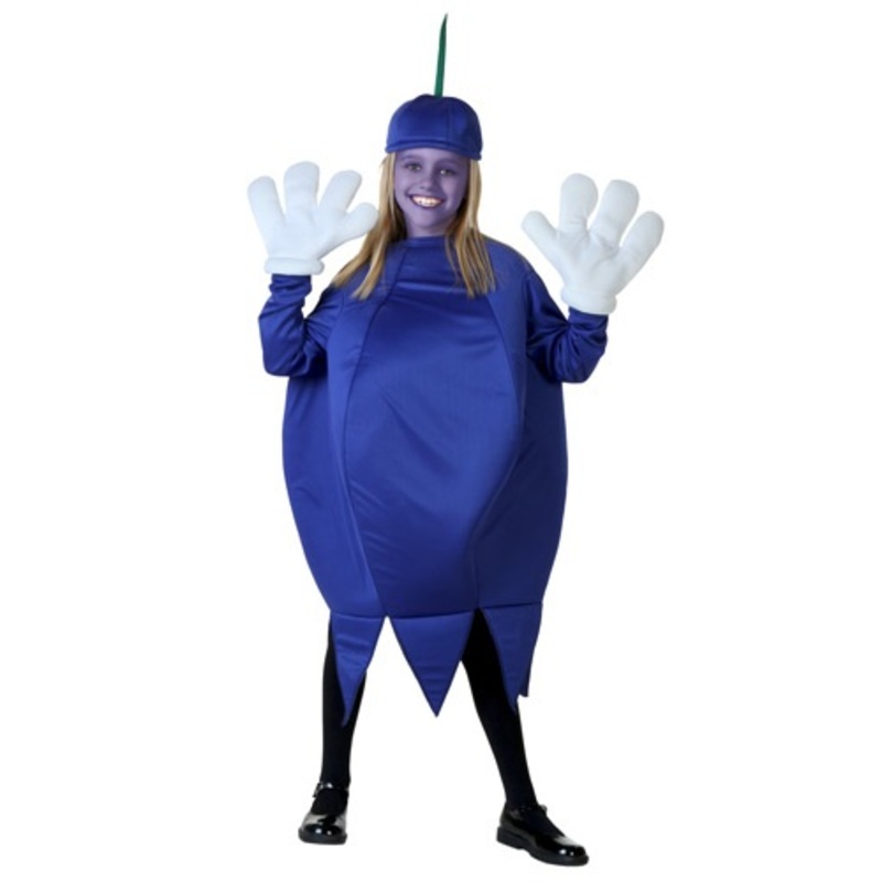 Blueberry Costume for Kids Standard