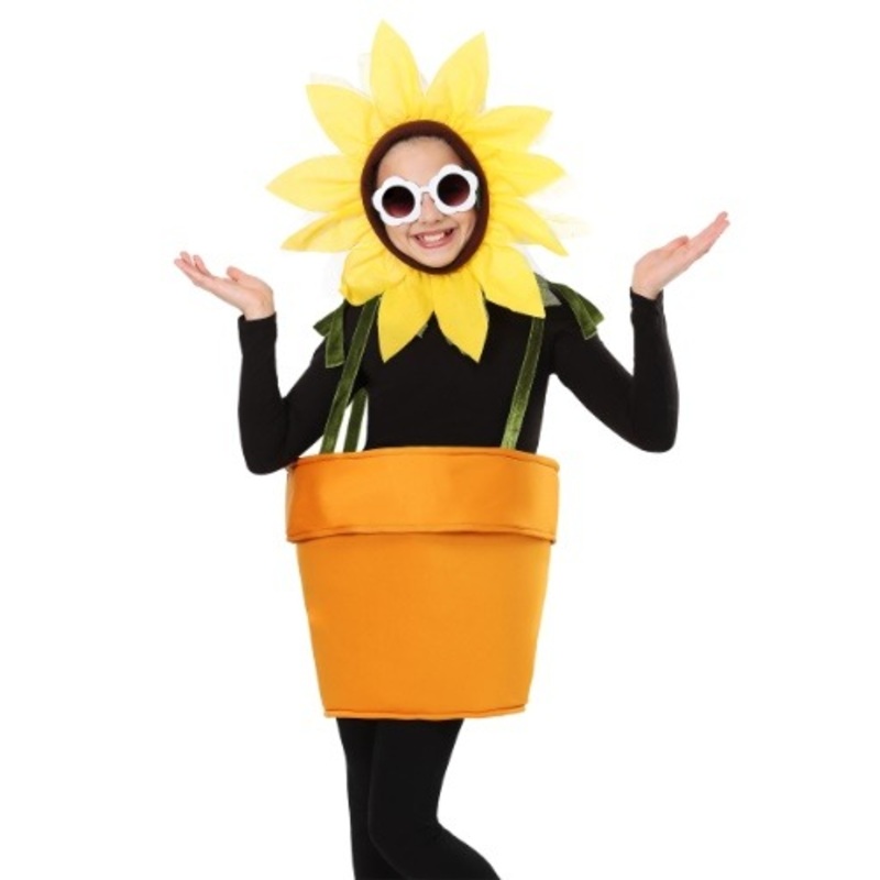 Flower Pot Kids Costume Standard