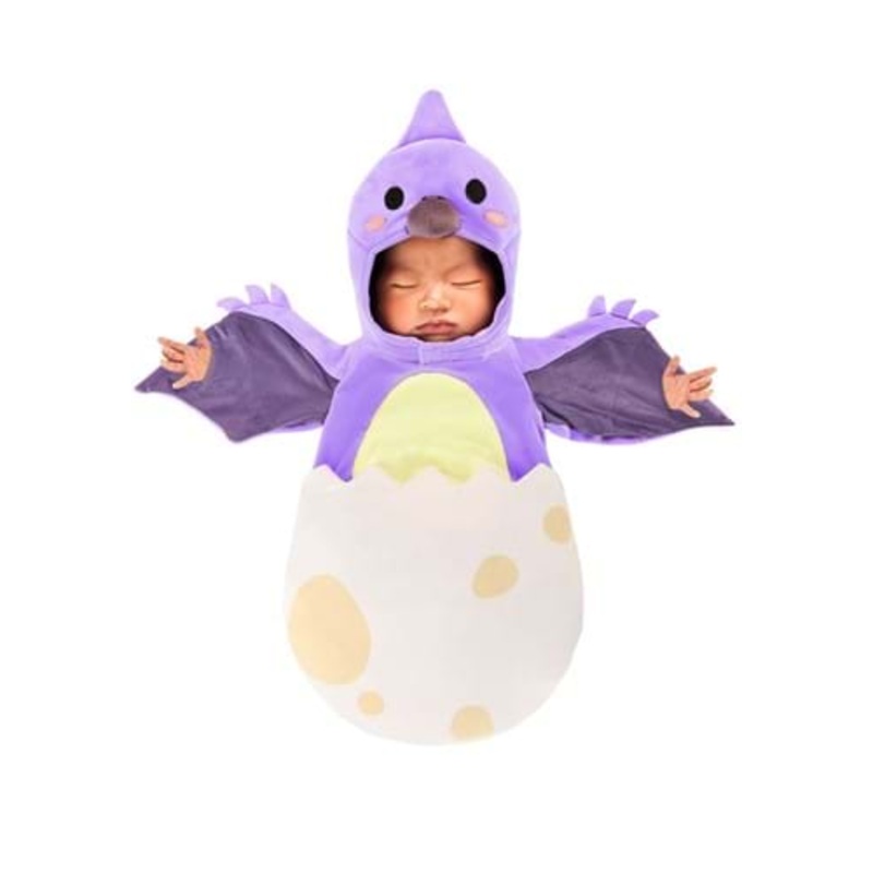 Infant Tiny Pterodactyl Dino Costume Bunting 0/3 Months