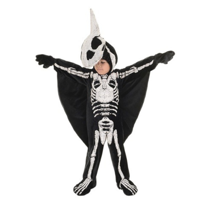 Toddler/Child Pterodactyl Fossil Costume Small