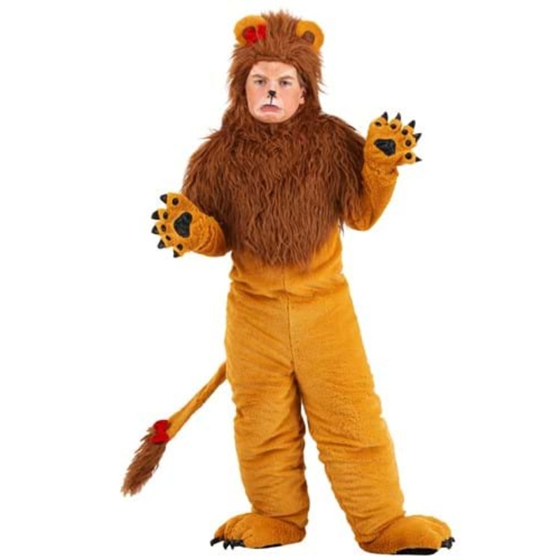 Classic Storybook Lion Costume for Kids Small