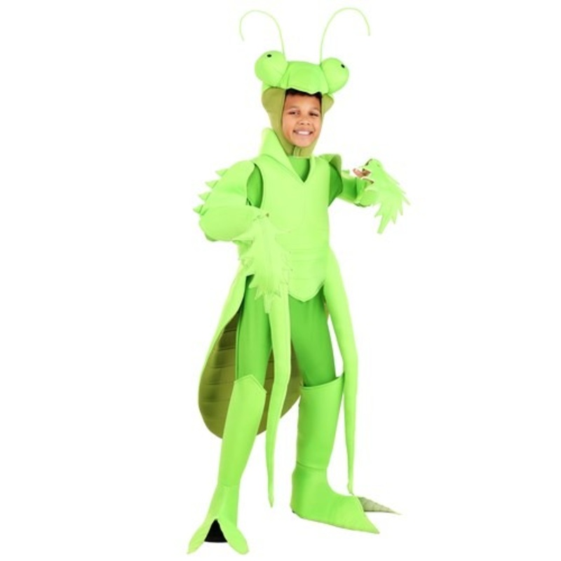 Kid's Praying Mantis Costume Small