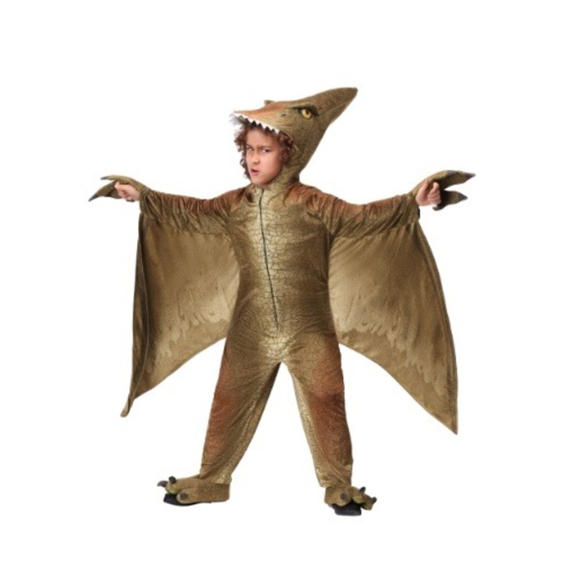 Kid's Pterodactyl Costume Small
