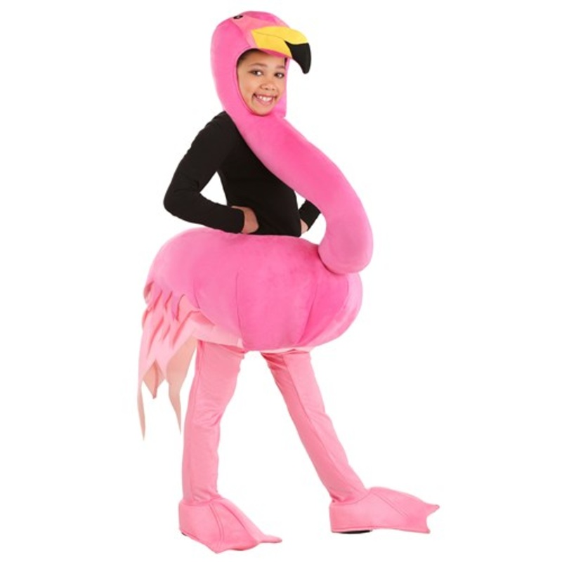 Graceful Flamingo Kid's Costume X-Small