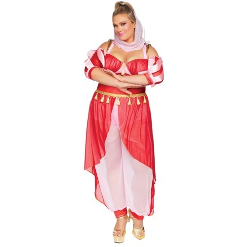 Adult's Plus Size Dreamy Genie Costume