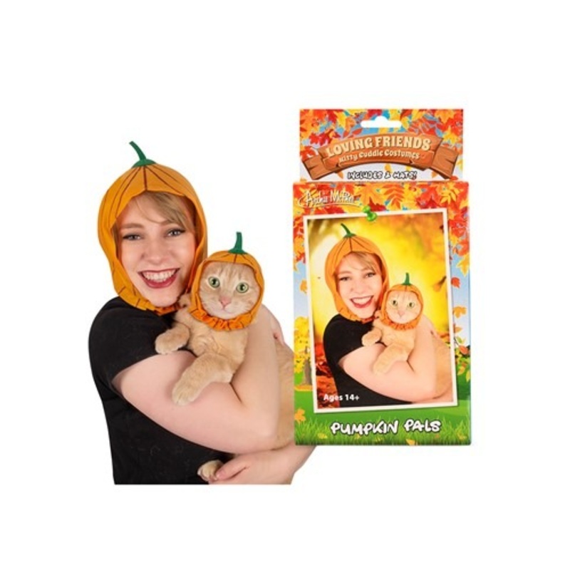 Owner & Pet Pumpkin Pals Costume Kit  Standard