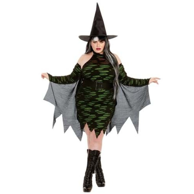Women's Plus Size Miss Enchantment Adult Costume 1X