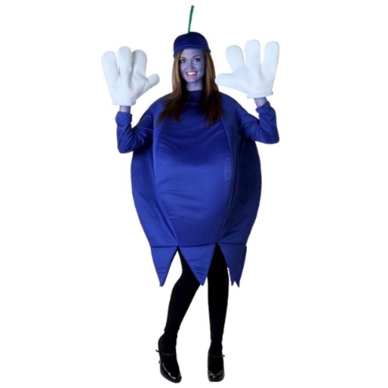 Adult Plus Size Blueberry Costume 2X
