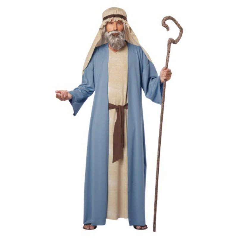 Biblical Noah Men's Costume Small/Medium