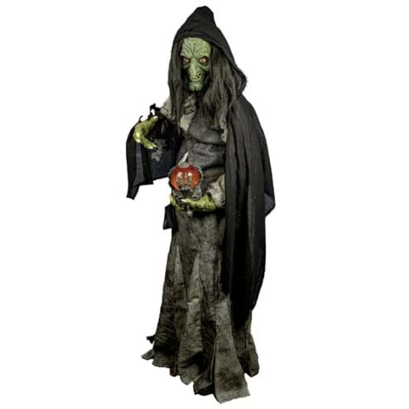 Premium Evil Green Witch Costume for Adults Small/Medium