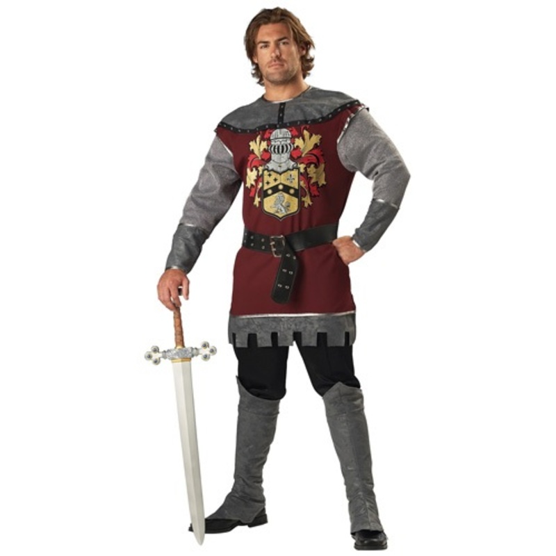 Noble Knight Costume Medium