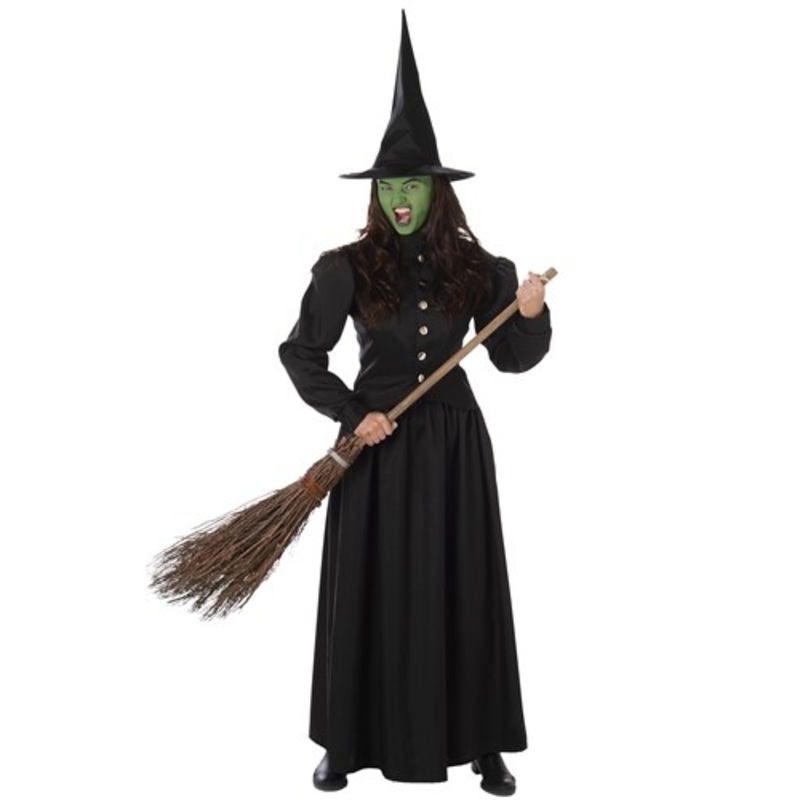 Wicked Witch Costume for Women Medium