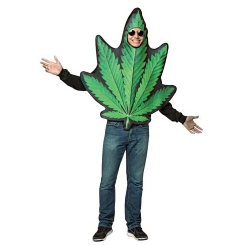 Pot Leaf Adult Costume Standard