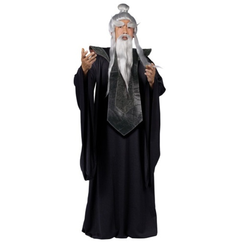 Sensei Master Costume Medium