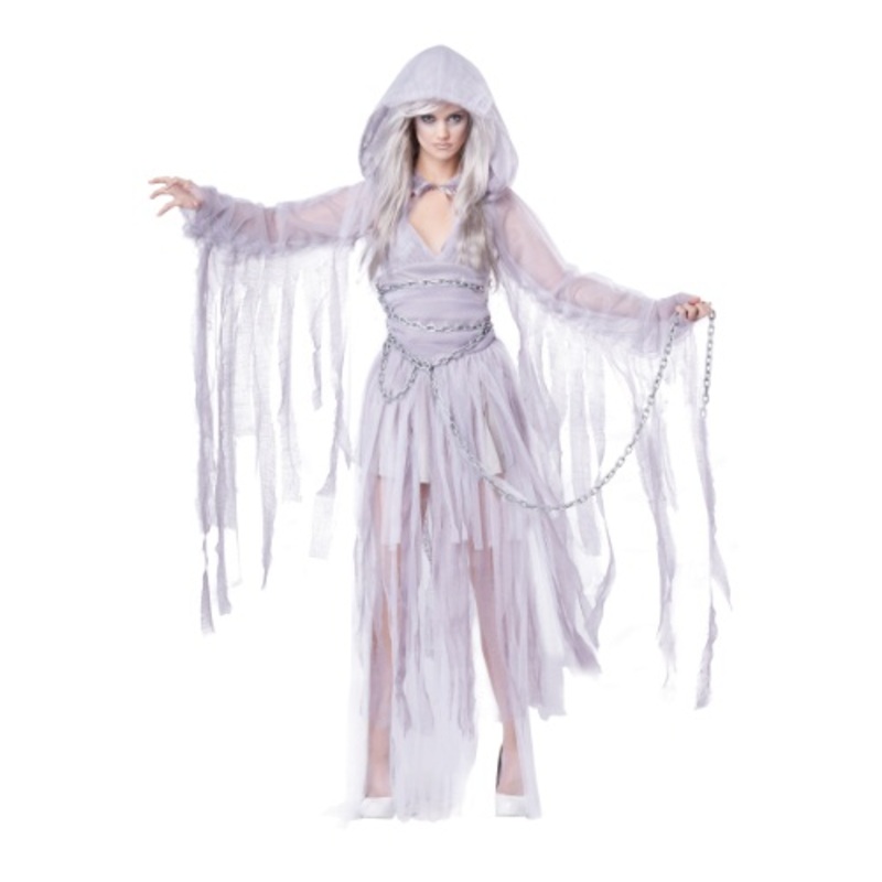 Haunting Beauty Women's Costume X-Small