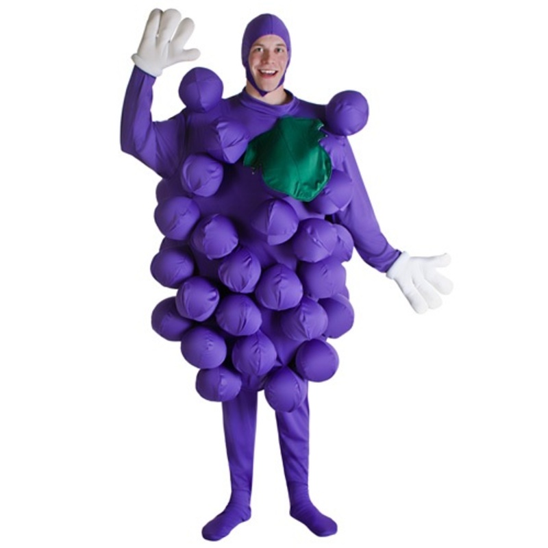 Purple Grapes Costume for Adults Standard