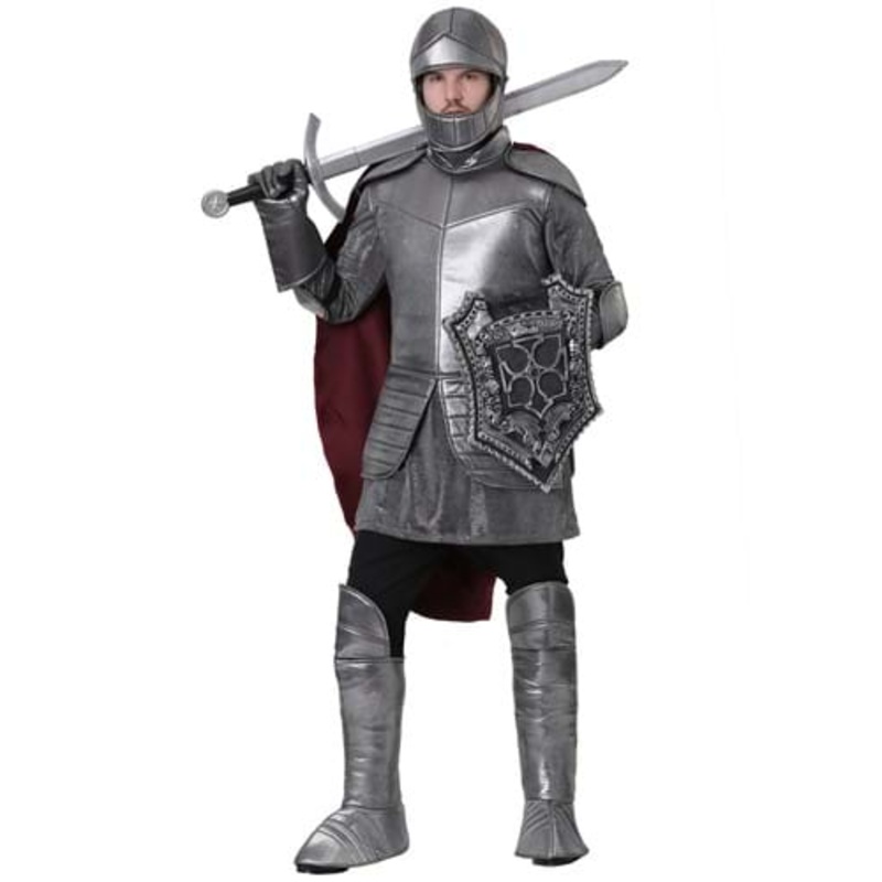 Royal Knight Costume for Men Small