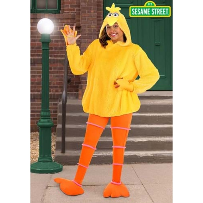 Sesame Street Cozy Big Bird Women's Costume X-Small