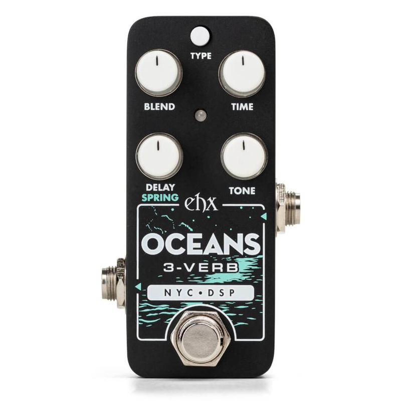 La Matta Women's Eyeglasses - Clear Demo Lens Tortoise\/Multicolor Frame | LMV3241 C4